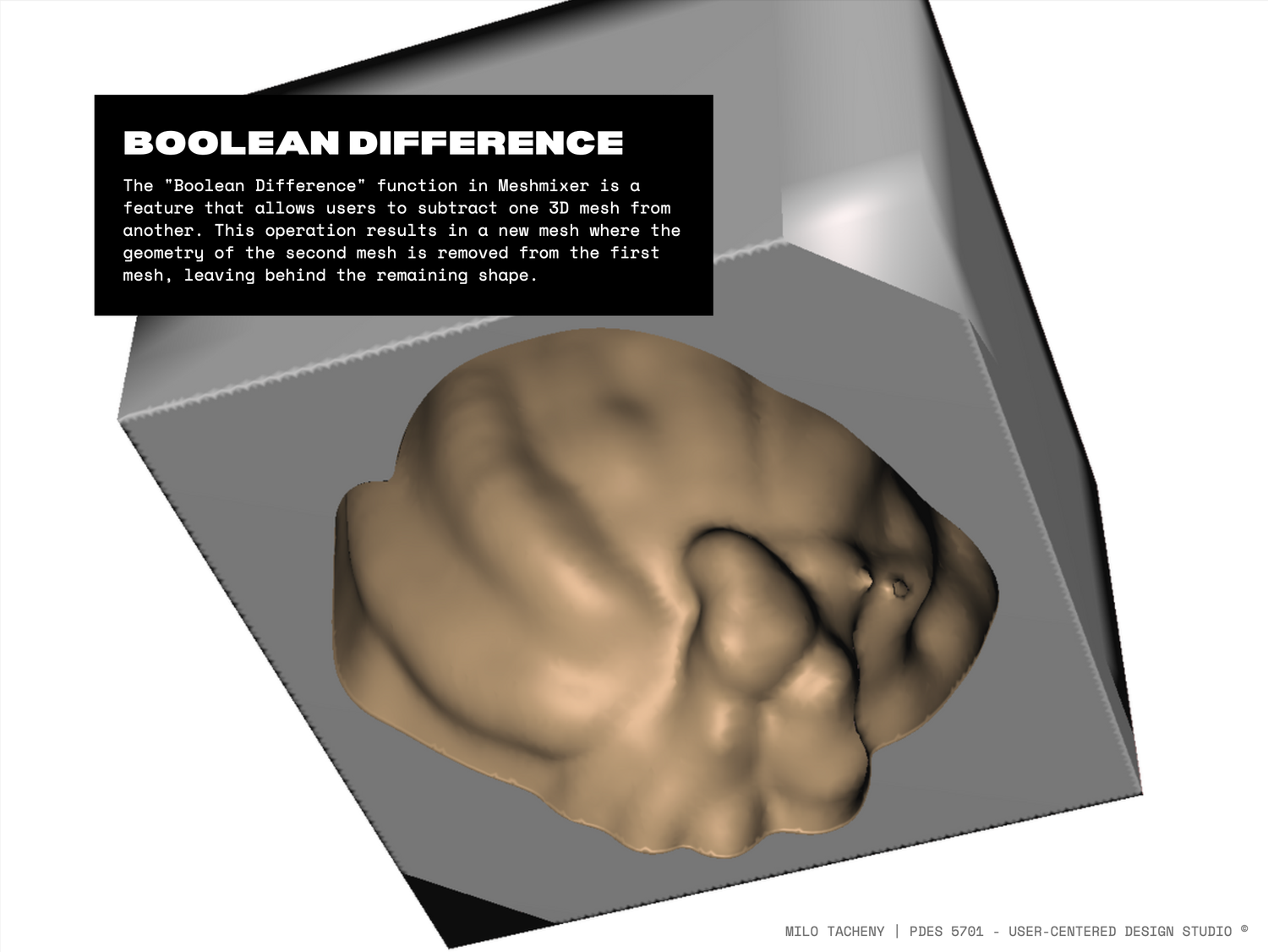 MANEGUARD HELMETS — slide 22
